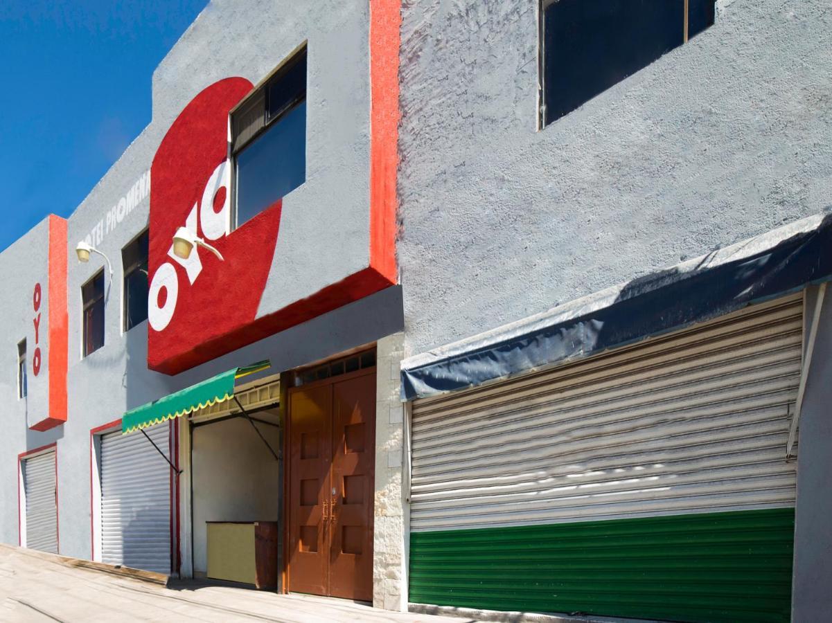 Oyo Promenade,Terminal Central De Autobuses De Guanajuato Zewnętrze zdjęcie